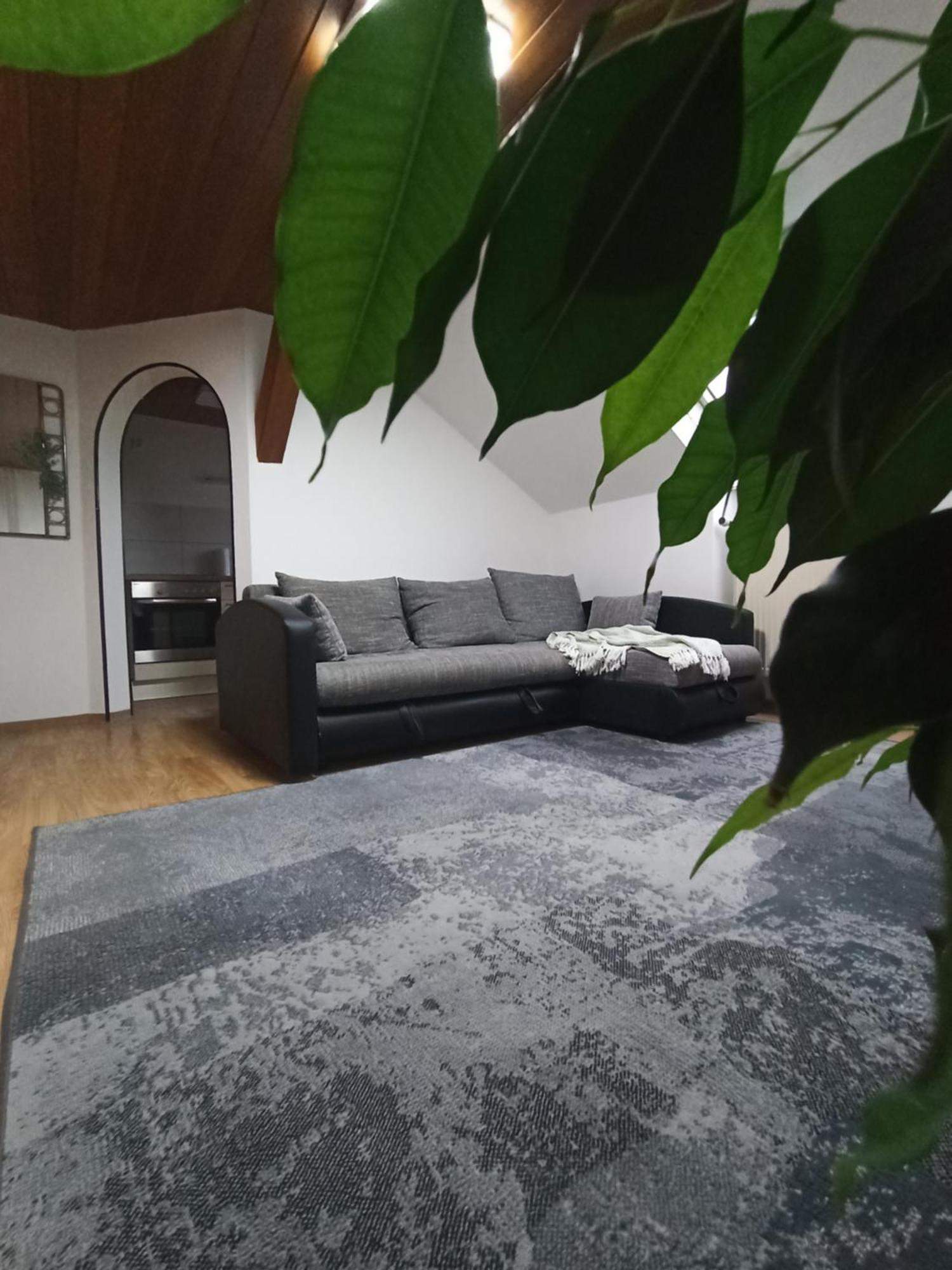 Lipa Apartment Bernried Exterior photo